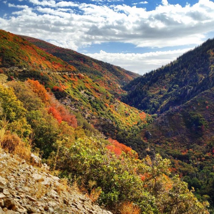 davis county fall colors in farmington canyon