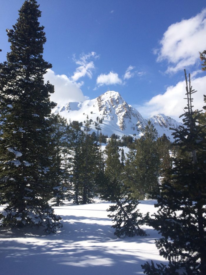 Snowbasin Bluebird Day