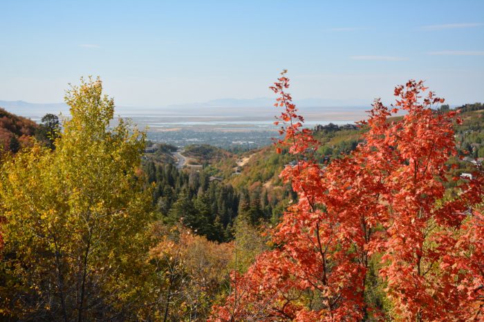 Mueller Park Trail fall colors