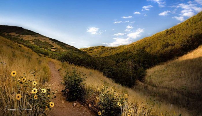 North Salt Lake hiking