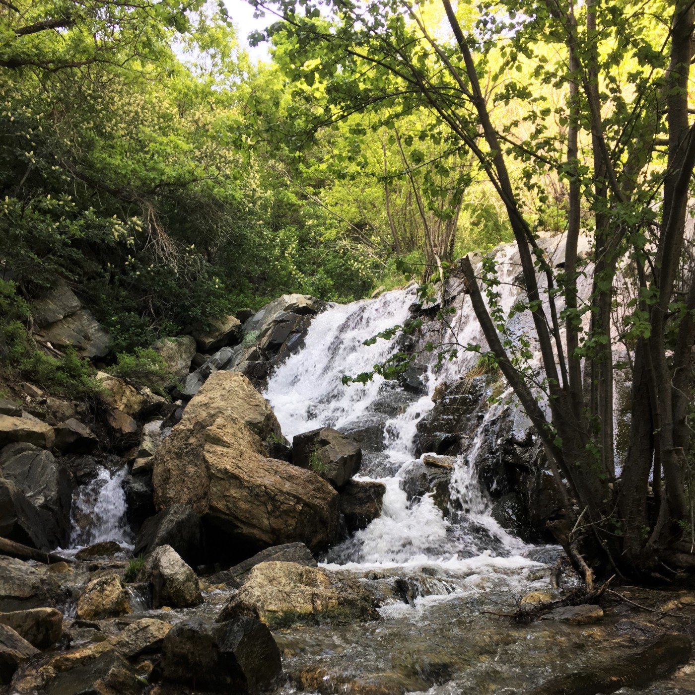 waterfall hike davis county