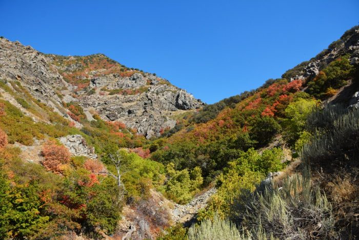 Fall colors in Fernwood Layton Utah