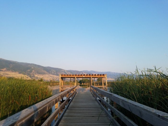 great salt lake wetlands