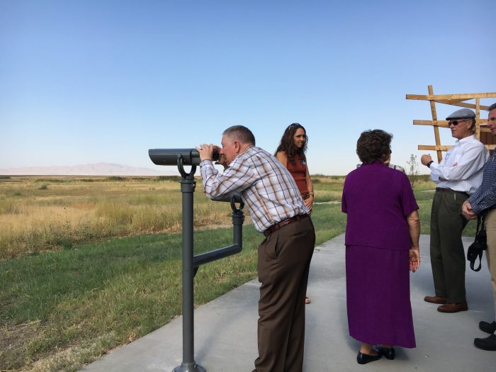 birding in davis county utah