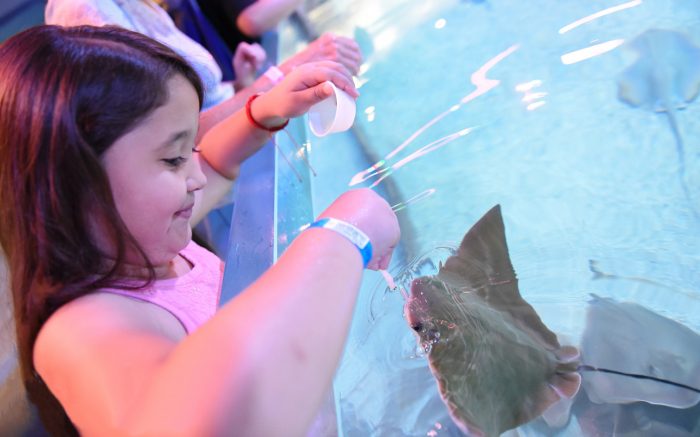 Girl at the Stingray Tank at Seaquest