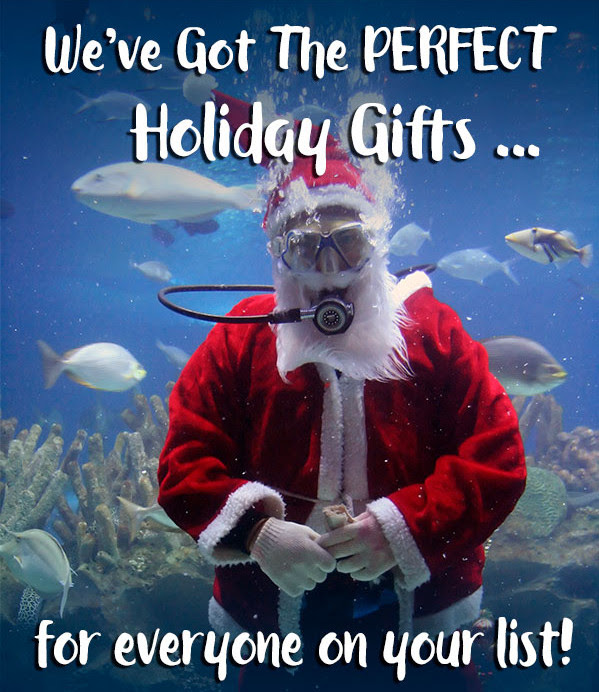SeaQuest Interactive Aquarium