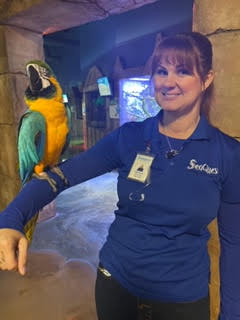 Seaquest Employee Displays a Tropical Bird