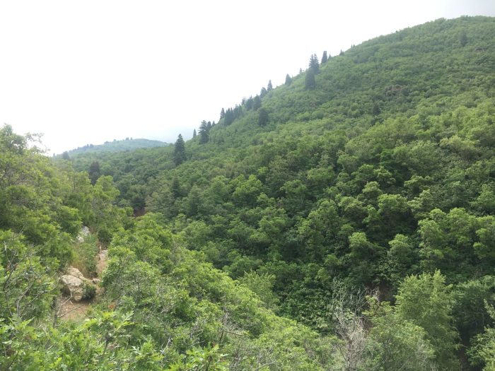 Ariel View of Holbrook Canyon