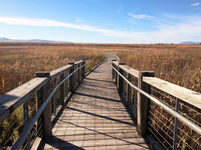 Walk Path Through the Great Salt Lake Shorelands Preserve