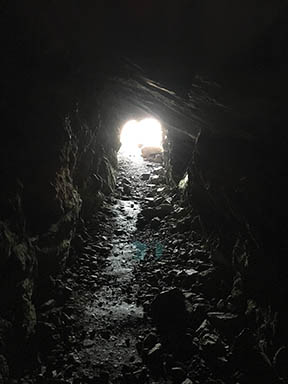 Inside Patsy's Mine