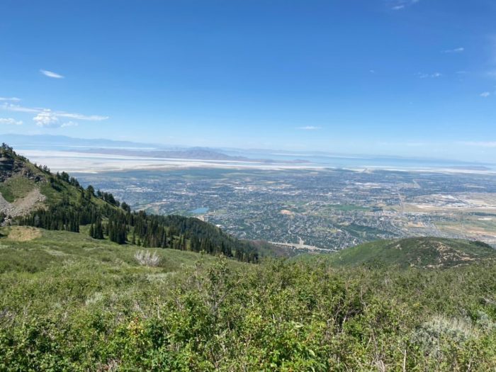 Great Western Trail Skyline View