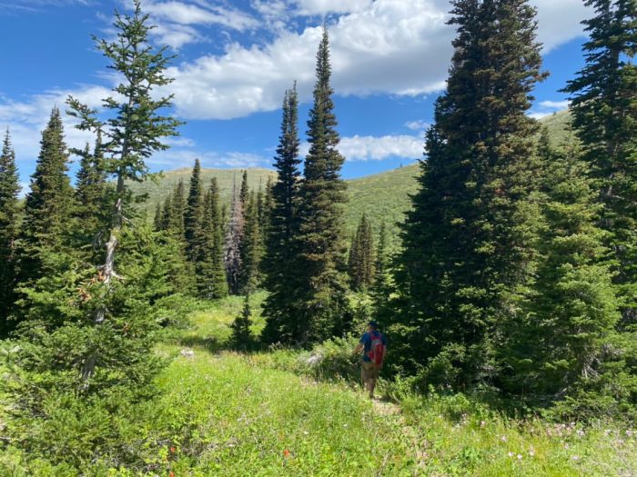 People Hiking on the Great Western Trail