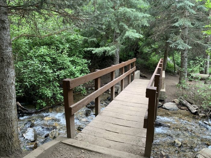 The Fernwood Creek Bridge