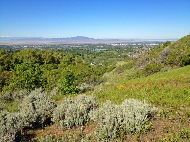 View from the Fernwood