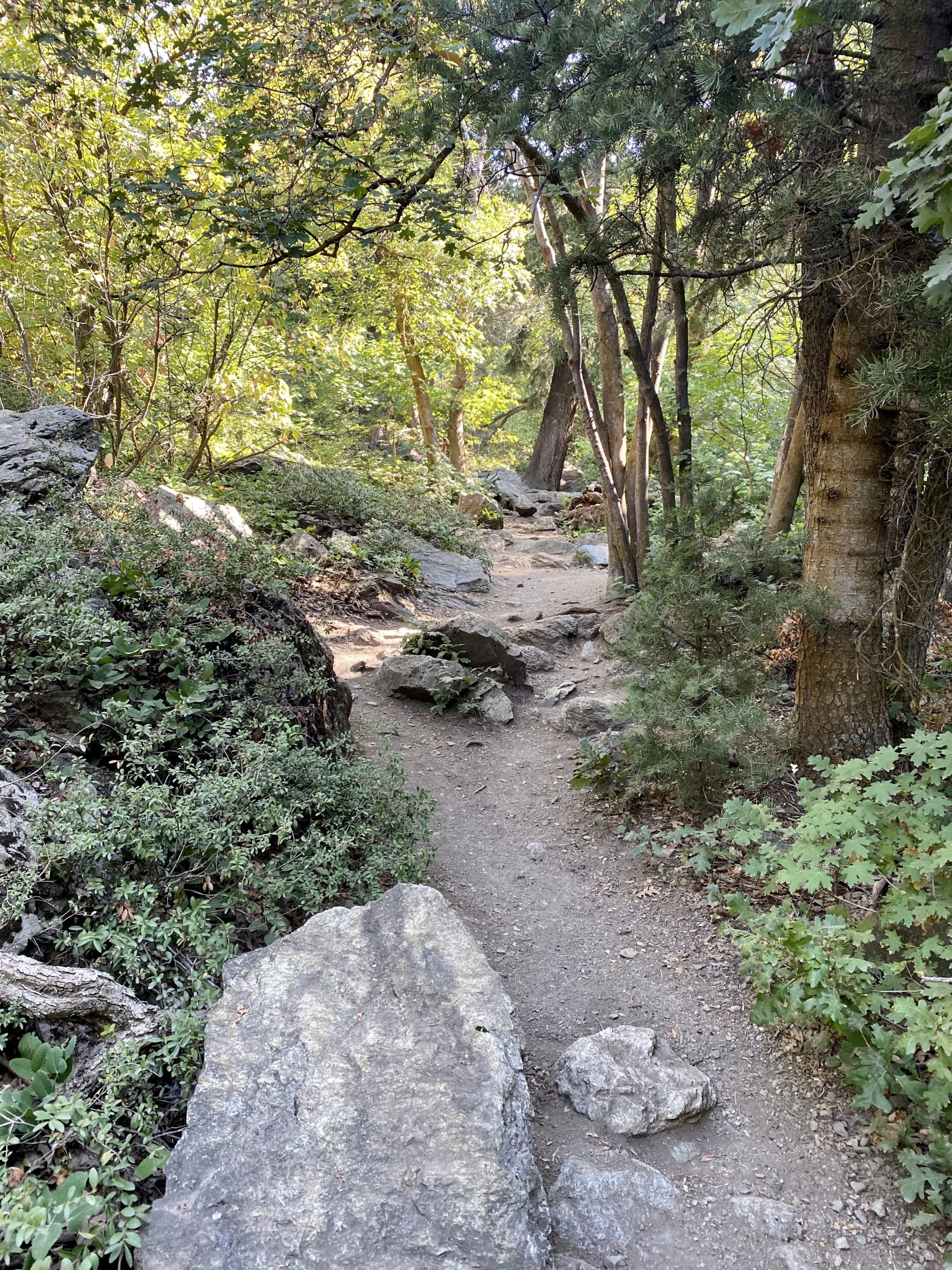 Dixie Canyon Park