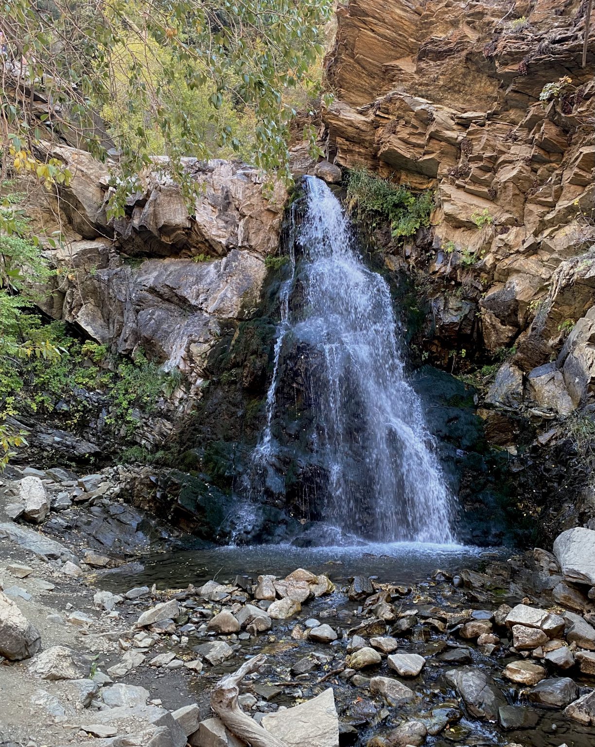 Discover Trails in Davis: Farmington Creek Trail - Upper Canyon Section ...