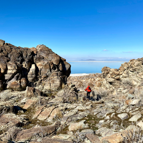 A mountain biker navigates terrain on the lakeside trail at Antelope Island State Park